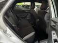 Ford Puma 1.0 EcoBoost Hybrid 125CV ST-Line TELECAM/PARK/NAV Blanco - thumbnail 23