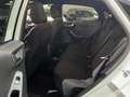 Ford Puma 1.0 EcoBoost Hybrid 125CV ST-Line TELECAM/PARK/NAV Blanco - thumbnail 13