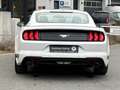 Ford Mustang 2.3 Ecoboost *SHZ*Navi*SBL*Kamera* Weiß - thumbnail 7