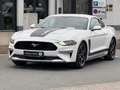 Ford Mustang 2.3 Ecoboost *SHZ*Navi*SBL*Kamera* Weiß - thumbnail 2