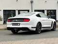 Ford Mustang 2.3 Ecoboost *SHZ*Navi*SBL*Kamera* Weiß - thumbnail 8