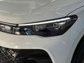 Volkswagen Tiguan 2.0 TDI 150 CV SCR DSG R-Line Weiß - thumbnail 10