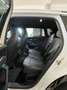 Volkswagen Tiguan 2.0 TDI 150 CV SCR DSG R-Line Weiß - thumbnail 25