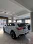 Volkswagen Tiguan 2.0 TDI 150 CV SCR DSG R-Line Weiß - thumbnail 6
