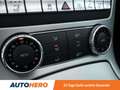 Mercedes-Benz SLK 250 CDI BlueEfficiency Aut.*NAVI*TEMPO*PDC*SHZ*KLIMA* Grau - thumbnail 21