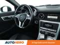 Mercedes-Benz SLK 250 CDI BlueEfficiency Aut.*NAVI*TEMPO*PDC*SHZ*KLIMA* Grau - thumbnail 13