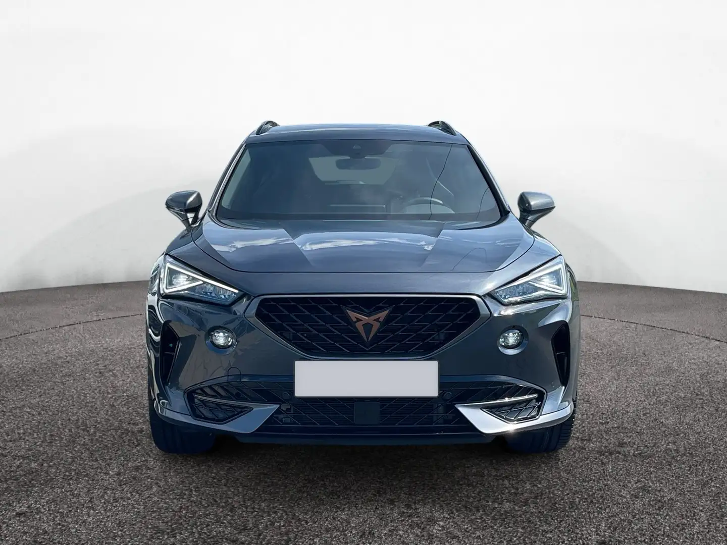 CUPRA Formentor VZ TSI DSG|NAVI|KAMERA|ACC|BEHEIZ.LENK Grau - 2