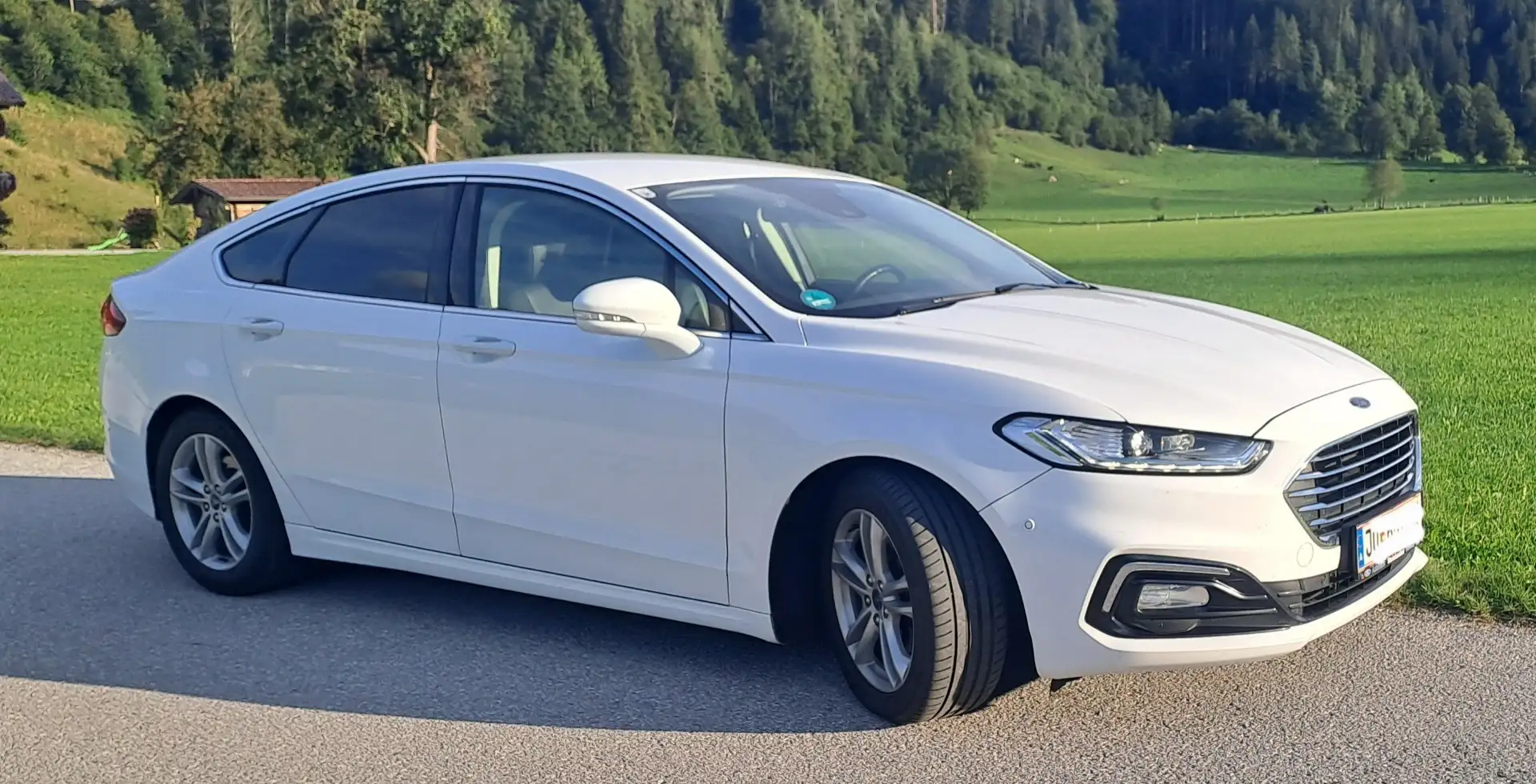 Ford Mondeo Titanium 2,0 EcoBlue SCR Aut. Vollleder - 2