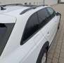 Audi A4 allroad A4 allroad quattro 45 TFSI S tronic; B&O, Panorama Weiß - thumbnail 3