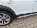 Audi A4 allroad A4 allroad quattro 45 TFSI S tronic; B&O, Panorama Weiß - thumbnail 5