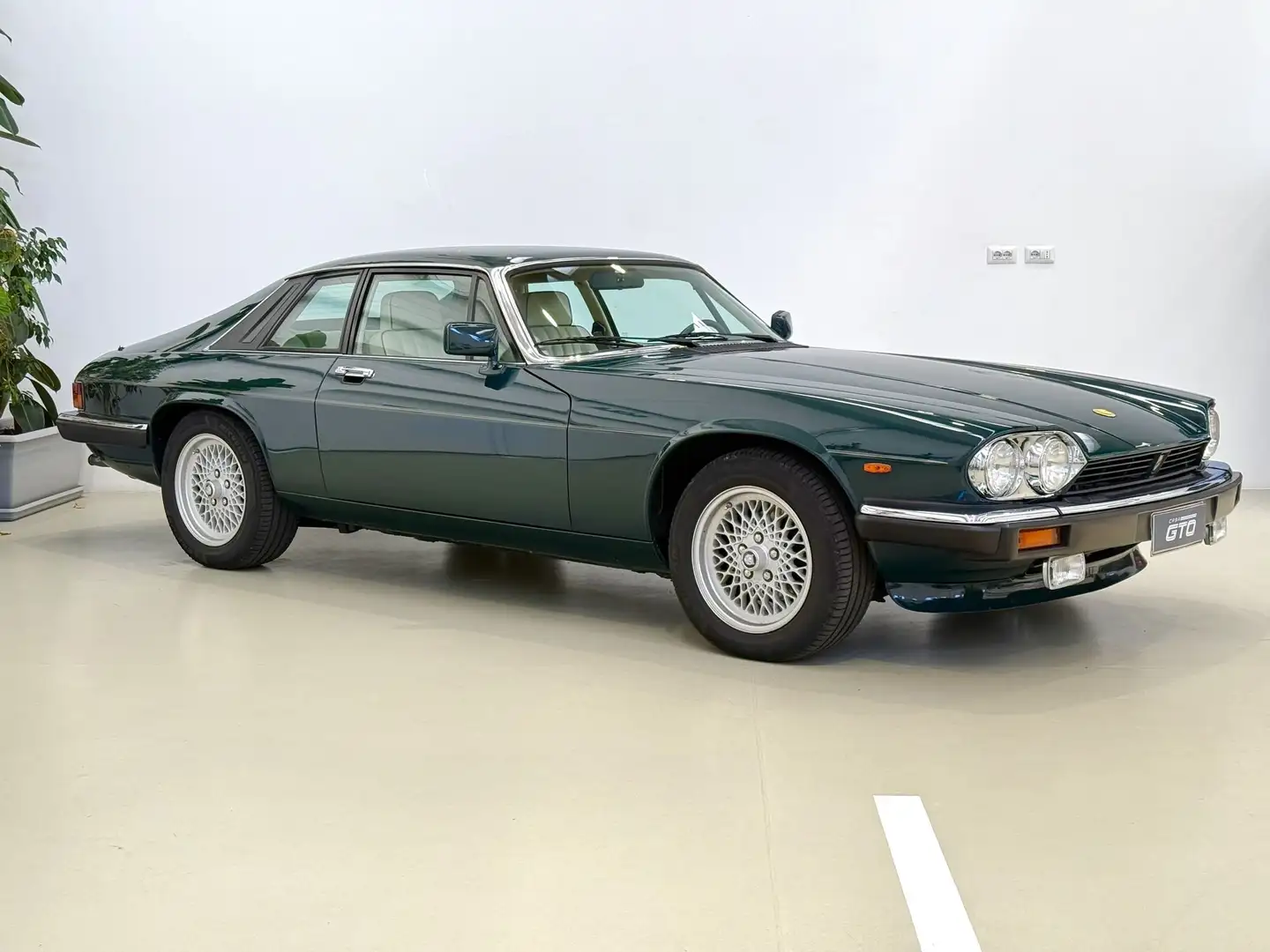 Jaguar XJS V12 5.3 Le Mans EDITION - n°138 di 280 Verde - 2