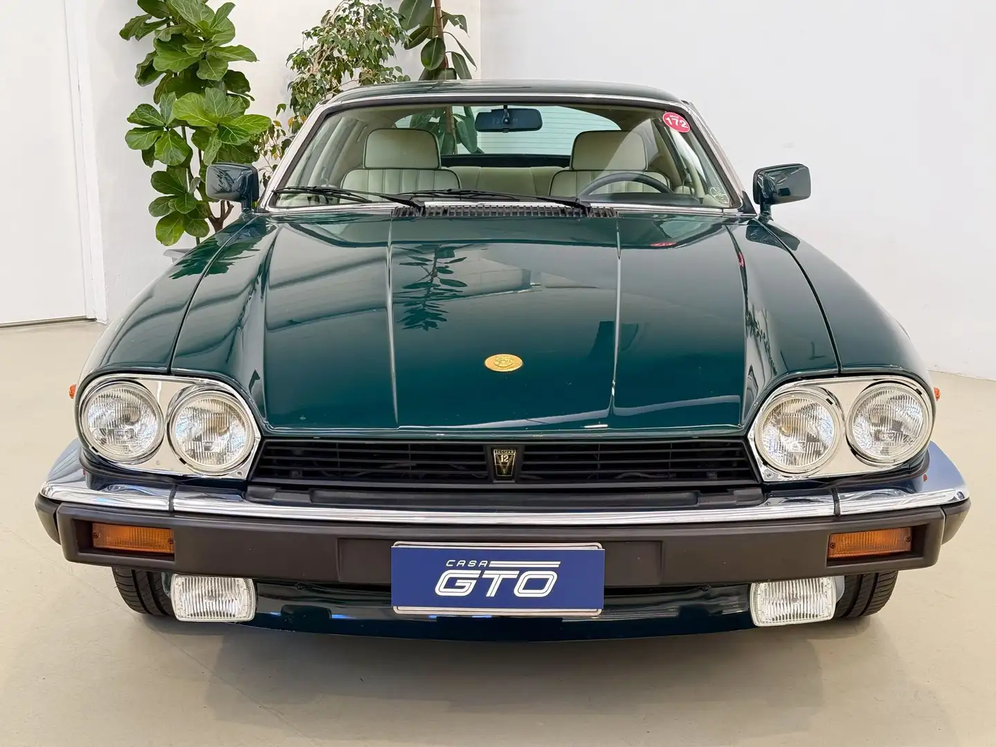 Jaguar XJS V12 5.3 Le Mans EDITION - n°138 di 280 Verde - 1