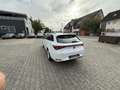 SEAT Leon Style 2,0 TDI Aut Navi LED ACC PDC SHA Alu16 E6 Blanc - thumbnail 4