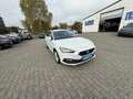 SEAT Leon Style 2,0 TDI Aut Navi LED ACC PDC SHA Alu16 E6 Blanc - thumbnail 2