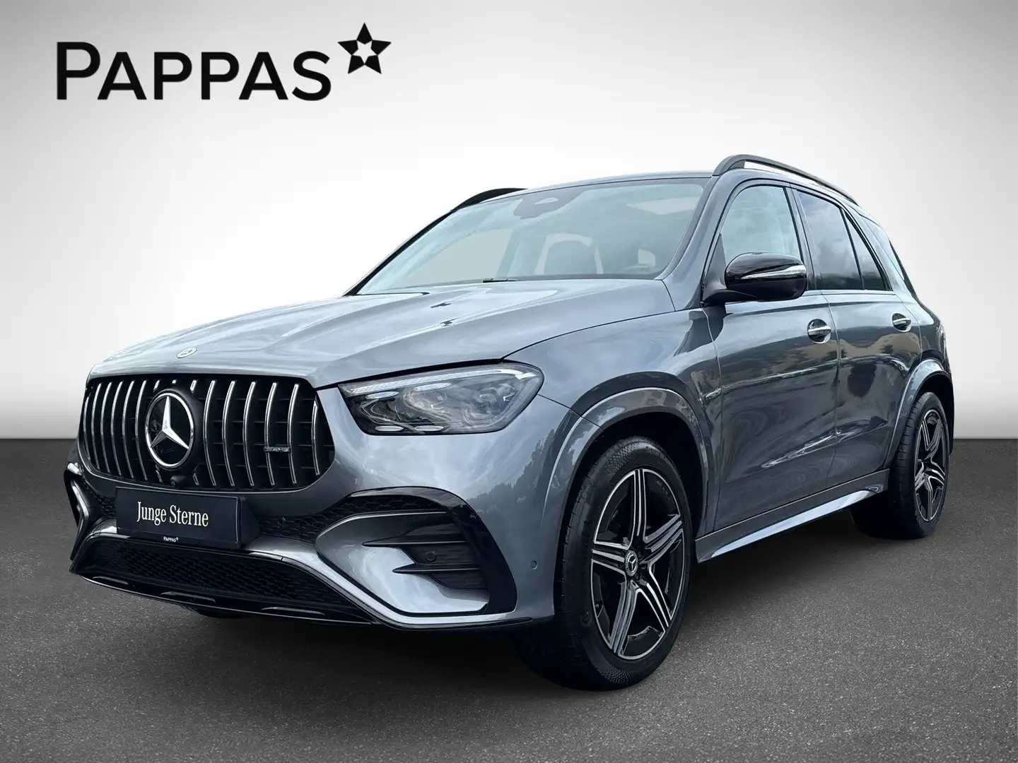 Mercedes-Benz GLE 450 d 4MATIC Sitzklima Pano LED Navi HUD Cam Gri - 2
