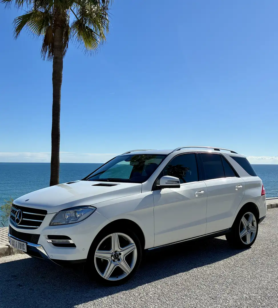 Mercedes-Benz ML 250 BlueTEC - 2