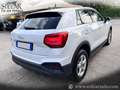 Audi Q2 2.0 TDI Diesel 150CV S-Tronic Business *NUOVISSIMA Blanc - thumbnail 4