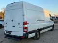 Mercedes-Benz Sprinter Kasten Maxi 316 CDI/Lang/Hoch/Navi/PDC Weiß - thumbnail 5
