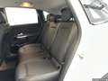 Mercedes-Benz B 250 Progressive Distronic MBUX Kamera Memory Weiß - thumbnail 10