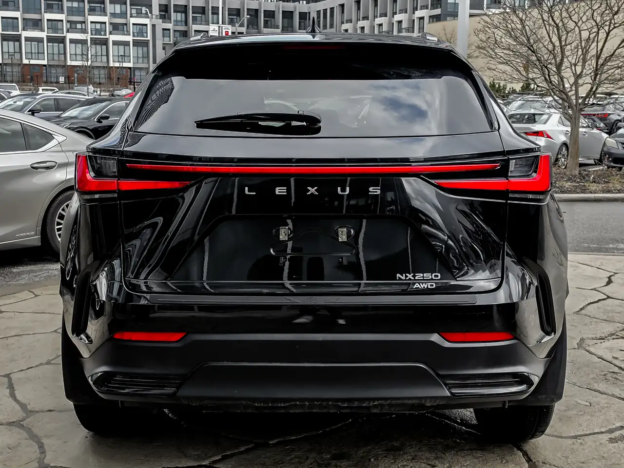 Lexus NX снимка Lexus NX