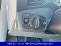 Ford Grand C-Max 1.0 T 7-Sitzer Parklenk AAC SHZ PDC Braun - thumbnail 15