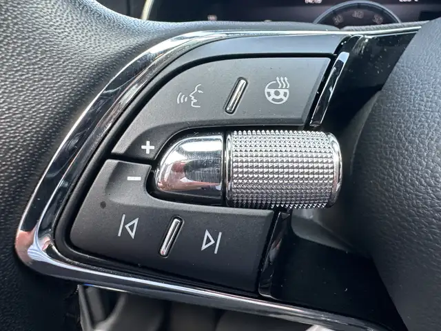 Skoda Scala view 11