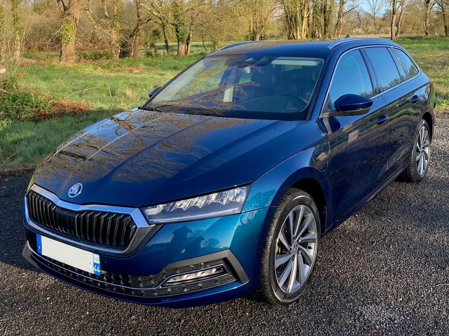 Skoda Octavia 1.4 TSI 204 ch Bleu - 1