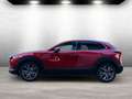 Mazda CX-30 Selection AWD *BOSE*HUD*WR Rot - thumbnail 7