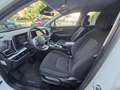 Kia Sportage 1.6 Tgdi 180cv HEV STYLE Aut. / FULL HYBRID Blanco - thumbnail 6