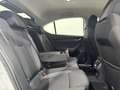 Skoda Octavia 2.0TDI Selection DSG7 110kW Blanco - thumbnail 6
