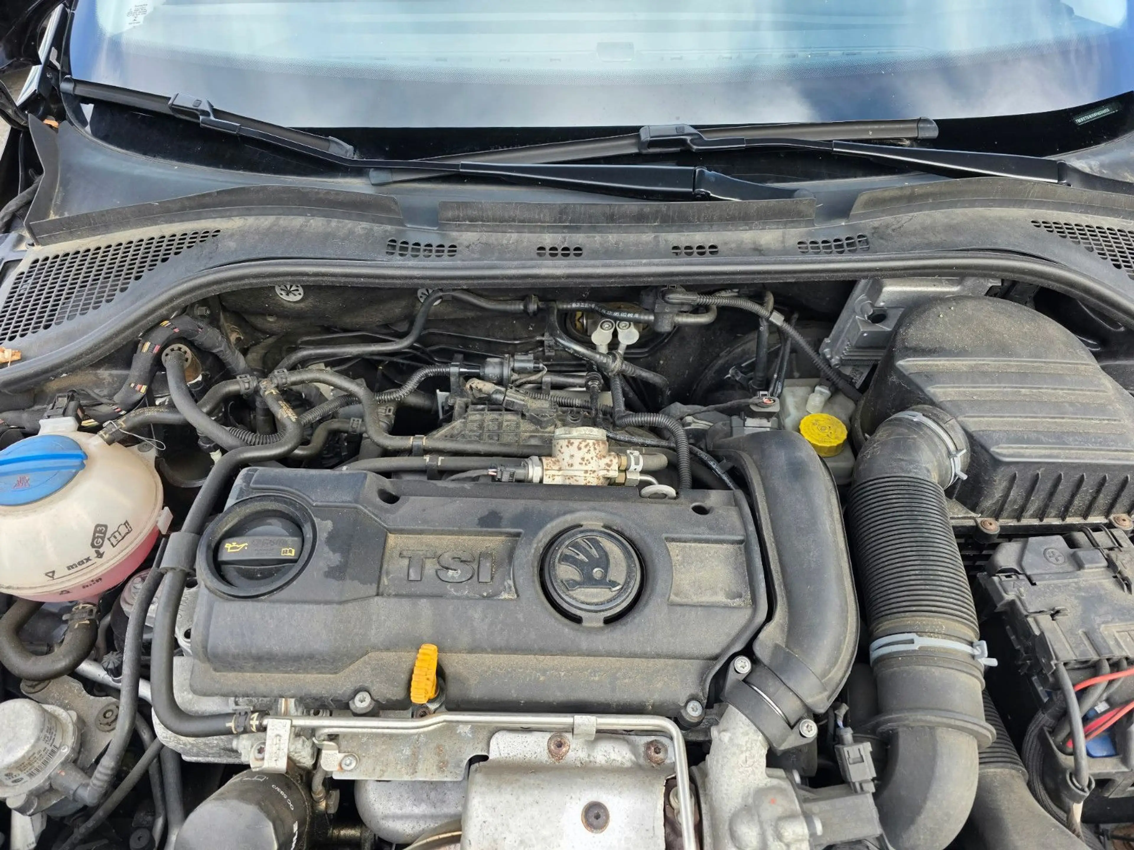 Skoda Rapid/Spaceback Spaceback Drive — photo 16