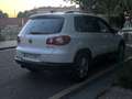 Volkswagen Tiguan 2.0TDI +Motion Blanco - thumbnail 4