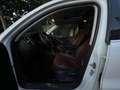 Volkswagen Tiguan 2.0TDI +Motion Blanco - thumbnail 8