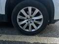 Volkswagen Tiguan 2.0TDI +Motion Blanco - thumbnail 13
