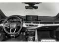 Audi S5 TDI tiptr. Pano/StdHzg/Massage/Virt Verde - thumbnail 13