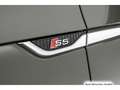 Audi S5 TDI tiptr. Pano/StdHzg/Massage/Virt Grün - thumbnail 20