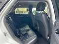 Land Rover Range Rover Evoque Range Rover Evoque 2.0D I4 163CV AWD Aut R-Dynami Bianco - thumbnail 11