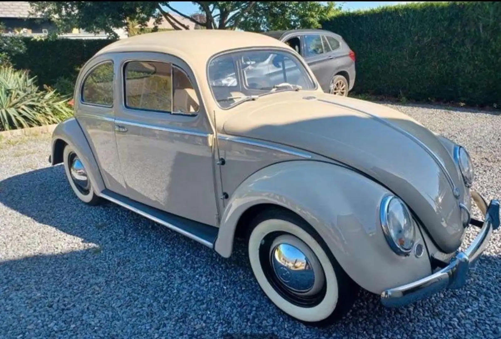 Volkswagen Coccinelle coccinelle ovale 1954 Beige - 2