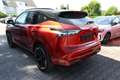 Nissan Qashqai N-DESIGN 1.3 DIG-T 158 MHEV Xtronic Pano 116 kW... Rot - thumbnail 4
