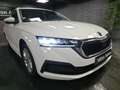 Skoda Octavia Octavia Combi 2.0 TDI - 116  IV Ambition Blanc - thumbnail 37