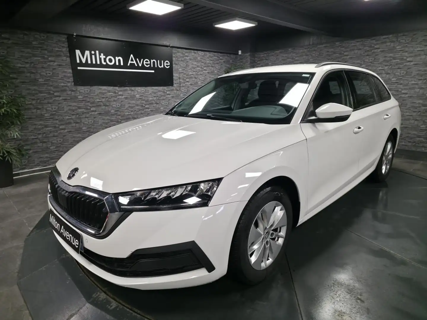 Skoda Octavia Octavia Combi 2.0 TDI - 116 IV Ambition Blanc - 1