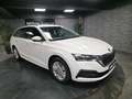 Skoda Octavia Octavia Combi 2.0 TDI - 116  IV Ambition Blanc - thumbnail 7