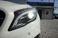 Mercedes-Benz GLA 200 AMG-Line Night-Pak. 7G-Tronic |Panorama| Weiß - thumbnail 23
