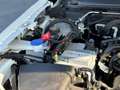 Ford Ranger Wildtrak e-4WD DoKa Camper Wit - thumbnail 24