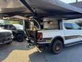 Ford Ranger Wildtrak e-4WD DoKa Camper Wit - thumbnail 6