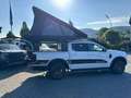 Ford Ranger Wildtrak e-4WD DoKa Camper Wit - thumbnail 12