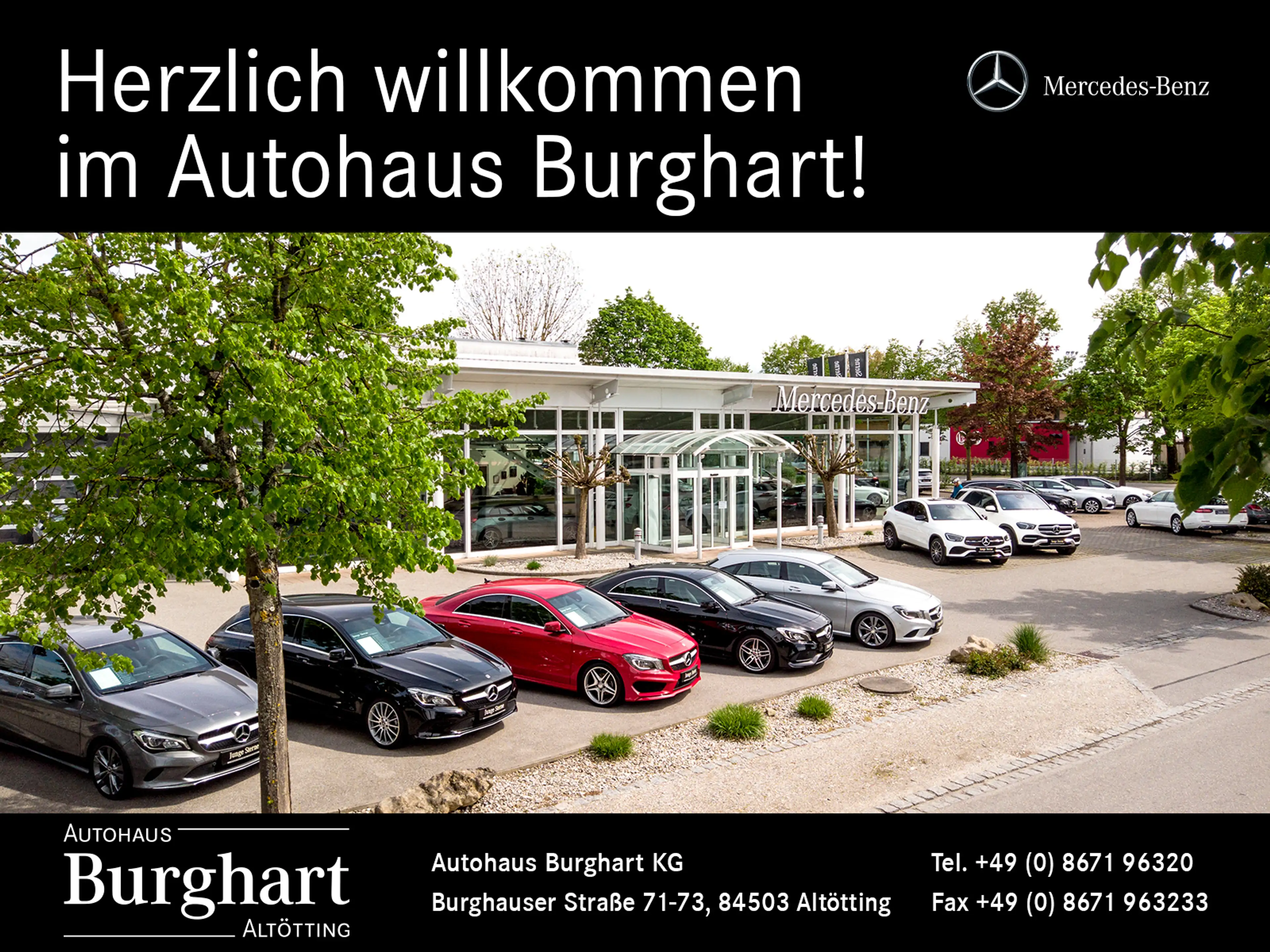 Mercedes-Benz EQA 250 EQA 250+ Progressive/ Erw. Serienausstattung Navi — photo 5