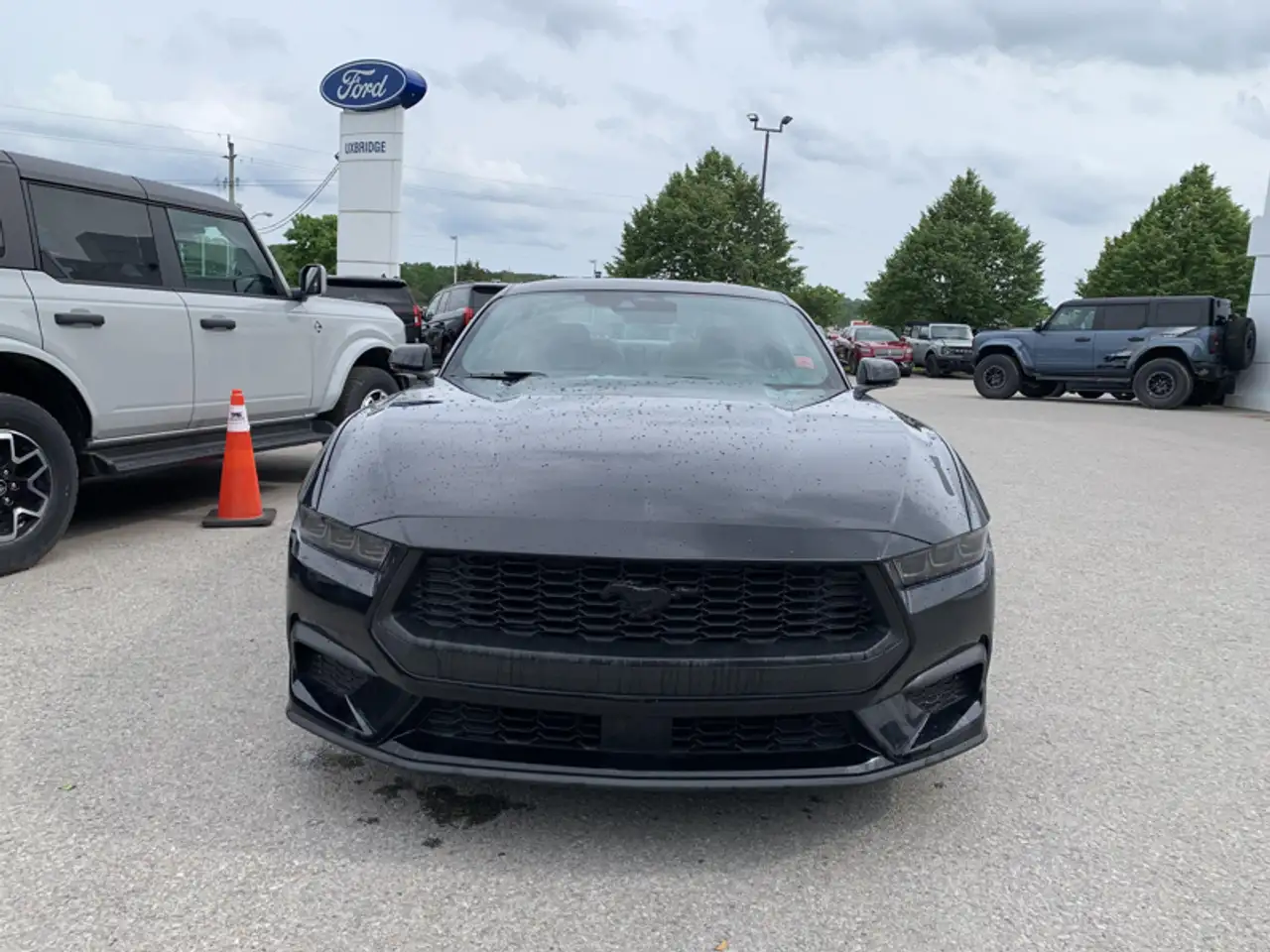 Ford Mustang снимка Ford Mustang