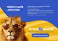 BMW X1 xDrive 18d X-Line/18 Zoll/PDC/SHZ/Xenon/AHK Blanc - thumbnail 21