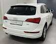 Audi Q5 2,0 TDI quattro DPF*Top Zustand* Weiß - thumbnail 5
